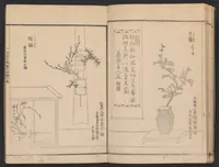 An illustration from Seizan goryū ikebana senbei zushiki : shohen (1857)