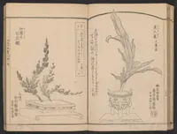 An illustration from Seizan goryū ikebana senbei zushiki : shohen (1857)