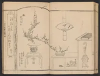 An illustration from Seizan goryū ikebana senbei zushiki : shohen (1857)