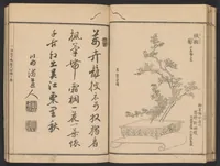 An illustration from Seizan goryū ikebana senbei zushiki : shohen (1857)