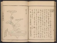 An illustration from Seizan goryū ikebana senbei zushiki : shohen (1857)