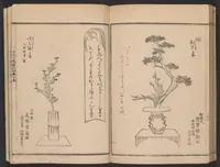 Picture 10 of 10 from Seizan goryū ikebana senbei zushiki : shohen (1857), leaf 29
