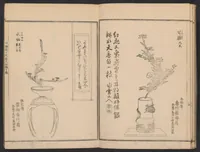 An illustration from Seizan goryū ikebana senbei zushiki : shohen (1857)