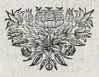 Picture 42 of 83 from Selecta numismata antiqua (1684), leaf 212