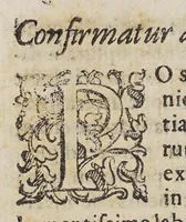 Picture 6 of 8 from Selectarum epistolarum ex India libri quatuor. (1588), leaf 370