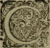 An illustration from Selecta sacra. Libri quinque. Cum indicibus locupletissimis, & tabulis aeneis elegantissimis (1700)