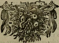 Picture 24 of 26 from Selecta sacra. Libri quinque. Cum indicibus locupletissimis, & tabulis aeneis elegantissimis (1700), leaf 630