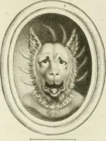 Picture 1 of 55 from A select collection of drawings from curious antique gems : most of them in the possession of the nobility and gentry of this kingdom : etched after the manner of Rembrandt (1768), leaf 60