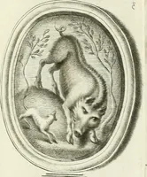 An illustration from A select collection of drawings from curious antique gems : most of them in the possession of the nobility and gentry of this kingdom : etched after the manner of Rembrandt (1768)