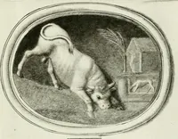An illustration from A select collection of drawings from curious antique gems : most of them in the possession of the nobility and gentry of this kingdom : etched after the manner of Rembrandt (1768)