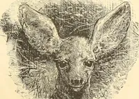 Picture 1 of 44 from Selected proofs from the first and second portfolios of illustrations from Scribner's Monthly and St. Nicholas (1881), leaf 12