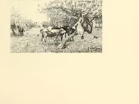 Picture 29 of 44 from Selected proofs from the first and second portfolios of illustrations from Scribner's Monthly and St. Nicholas (1881), leaf 86