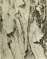 An illustration from A selection of drawings by old masters in the Museum collections (1921)