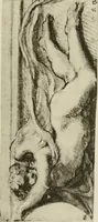 An illustration from A selection of drawings by old masters in the Museum collections (1921)