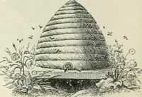 An illustration from Selections from the specimen book of the Fann Street Foundry (1874)