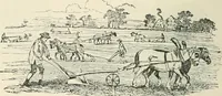 An illustration from Selections from the specimen book of the Fann Street Foundry (1874)