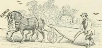 Picture 96 of 184 from Selections from the specimen book of the Fann Street Foundry (1874), leaf 289