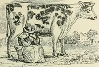 An illustration from Selections from the specimen book of the Fann Street Foundry (1874)