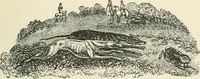 An illustration from Selections from the specimen book of the Fann Street Foundry (1874)
