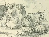 An illustration from Selections from the specimen book of the Fann Street Foundry (1874)