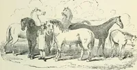 An illustration from Selections from the specimen book of the Fann Street Foundry (1874)