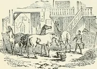 An illustration from Selections from the specimen book of the Fann Street Foundry (1874)