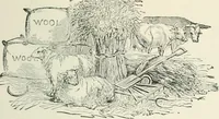 An illustration from Selections from the specimen book of the Fann Street Foundry (1874)