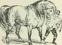 An illustration from Selections from the specimen book of the Fann Street Foundry (1874)