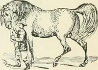 An illustration from Selections from the specimen book of the Fann Street Foundry (1874)