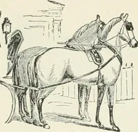 An illustration from Selections from the specimen book of the Fann Street Foundry (1874)