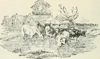 An illustration from Selections from the specimen book of the Fann Street Foundry (1874)