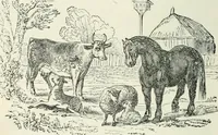 An illustration from Selections from the specimen book of the Fann Street Foundry (1874)