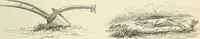 An illustration from Selections from the specimen book of the Fann Street Foundry (1874)