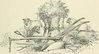 Picture 129 of 184 from Selections from the specimen book of the Fann Street Foundry (1874), leaf 298