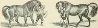 An illustration from Selections from the specimen book of the Fann Street Foundry (1874)