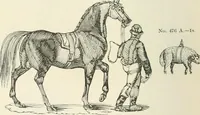 An illustration from Selections from the specimen book of the Fann Street Foundry (1874)