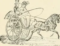 An illustration from Selections from the specimen book of the Fann Street Foundry (1874)