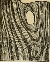 An illustration from Select list from the manufactures of Reeves & Sons Ltd. : for colonial dealers in hardware, builders' supplies, oil and colour stores (1900)