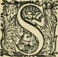 An illustration from Seleucidarum imperium, sive, Historia regum Syriae ad fidem numismatum accommodata (1681)