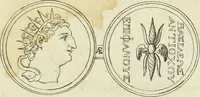 An illustration from Seleucidarum imperium, sive, Historia regum Syriae ad fidem numismatum accommodata (1681)