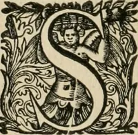 An illustration from Seleucidarum imperium, sive, Historia regum Syriae ad fidem numismatum accommodata (1681)