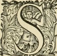 An illustration from Seleucidarum imperium, sive, Historia regum Syriae ad fidem numismatum accommodata (1681)