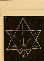 An illustration from Self-instructor : the child's first drawing book, containing all the pictures on Andrews' noiseless drawing slates for schools and families. (1878)