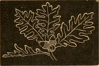 An illustration from Self-instructor : the child's first drawing book, containing all the pictures on Andrews' noiseless drawing slates for schools and families. (1878)