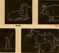 An illustration from Self-instructor : the child's first drawing book, containing all the pictures on Andrews' noiseless drawing slates for schools and families. (1878)