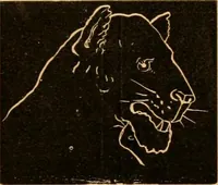 An illustration from Self-instructor : the child's first drawing book, containing all the pictures on Andrews' noiseless drawing slates for schools and families. (1878)