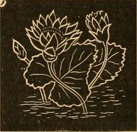 An illustration from Self-instructor : the child's first drawing book, containing all the pictures on Andrews' noiseless drawing slates for schools and families. (1878)