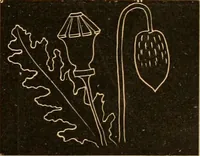 An illustration from Self-instructor : the child's first drawing book, containing all the pictures on Andrews' noiseless drawing slates for schools and families. (1878)