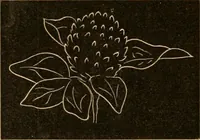 An illustration from Self-instructor : the child's first drawing book, containing all the pictures on Andrews' noiseless drawing slates for schools and families. (1878)