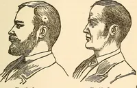 An illustration from The self-instructor in phrenology and physiology; with over one hundred new illustrations, including a chart for the use of practical phrenologists (1890)